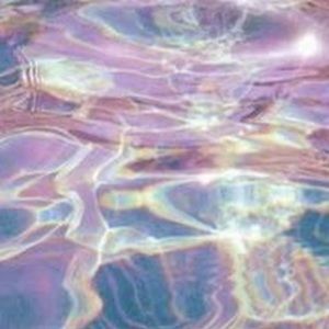 Meet your Posher, Cecile yoonju